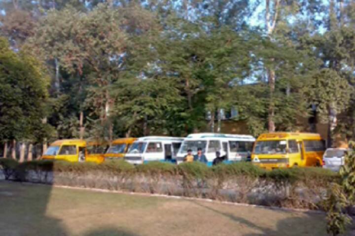 transport